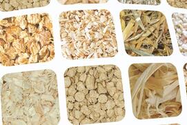 Гигиена животных