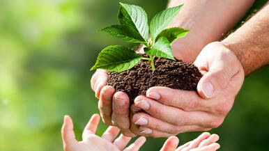 Активная защита окружающей среды