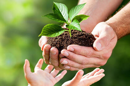 ПРИРОДА, КАК ОБРАЗЕЦ ДЛЯ ПОДРАЖАНИЯ: МЫ ИСПОЛЬЗУЕМ ТОЛЬКО ВОЗОБНОВЛЯЕМЫЕ МАТЕРИАЛЫ