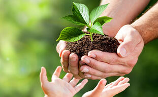 Устойчивый сайт