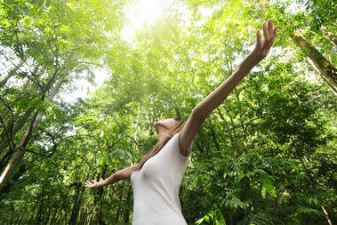 Устойчивость