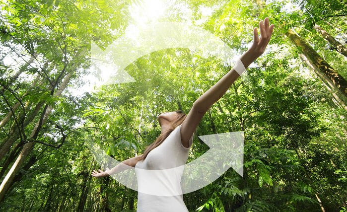 Устойчивость