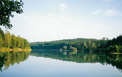 лесопильный завод в озере Оррот