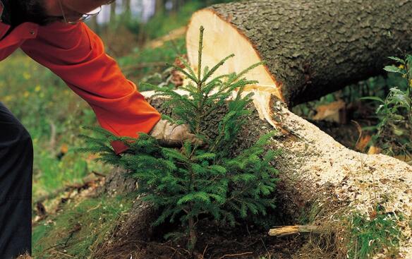 экологическая ответственность