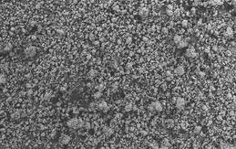 ВИВАПУР МКГ 811