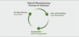 Природный материальный цикл возобновляемого сырья