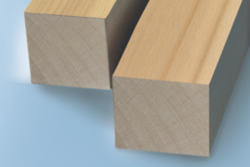 Фрикционные леса