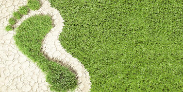 инъекционное озеленение