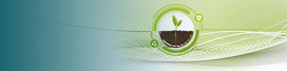 Растениеводство