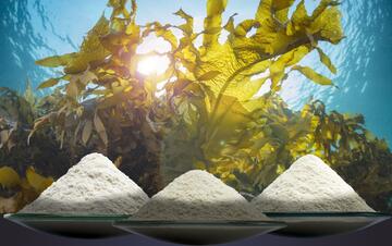 Гидроколлоиды