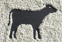 VITACEL® для телят