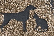 Корм для домашних животных