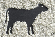 VITACEL® для телят