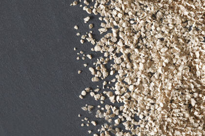 КОРМЛЕНИЕ ЖИВОТНЫХ 