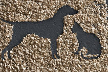 Корм для домашних животных