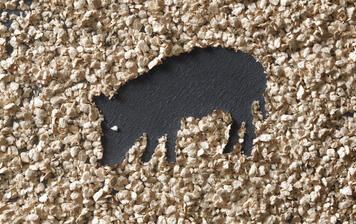 Питание животных