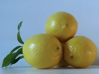 Lemon